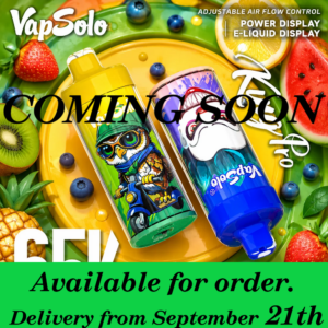 VapSolo King Pro 65K